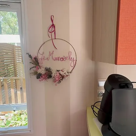 Kemping Mobil-home Le Manosely Confort 6 Pers Climatise-plages A Proximite