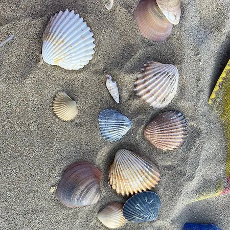 Mobil-home Le Manosely Confort 6 Pers Climatise-plages A Proximite *