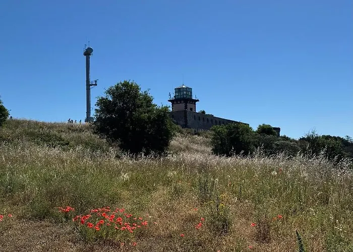 キャンプ場 Mobil-home Le Manosely Confort 6 Pers Climatise-plages A Proximite