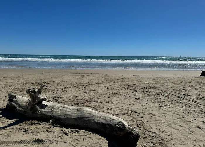 Mobil-home Le Manosely Confort 6 Pers Climatise-plages A Proximite