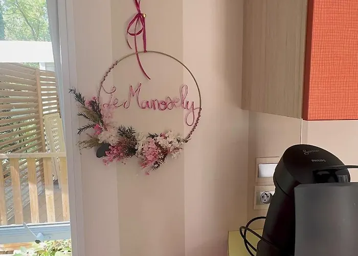 キャンプ場 Mobil-home Le Manosely Confort 6 Pers Climatise-plages A Proximite